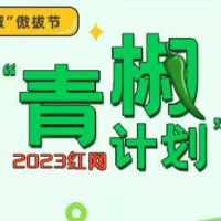 千万粉up主难以为继，视频平台的“良币”不应被驱逐