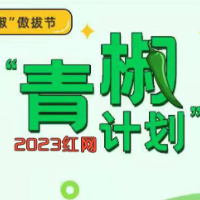 红网“青椒计划”2023年4月简报