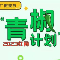 红网“青椒计划”2023年6月简报