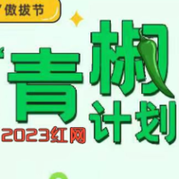 大厂实习：一场“996”的另向欺骗？