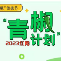比研究生“加时”更重要的，是人才培养的提质增效