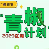 红网“青椒计划”2023年8月简报