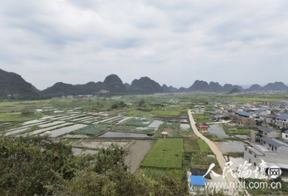 【美丽中国·网络媒体生态行】广西会仙湿地公园:生态优先 绿色发展