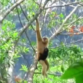 我国生物多样性保护取得新成绩