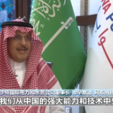沙特能源业者期待与中国深化新能源领域合作