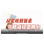 从麦收到餐桌 节粮减损需用心