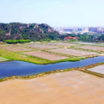 大国“粮”策｜【潮州】宜粮则粮宜特则特 让撂荒地“满绿复活”