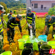 娄底：抗旱保收 基干民兵送水上山为80亩致富油茶“解渴”