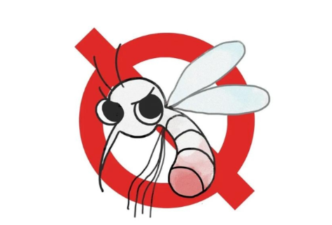 我国部分省份现登革热散发病例,专家提示防蚊虫孳生