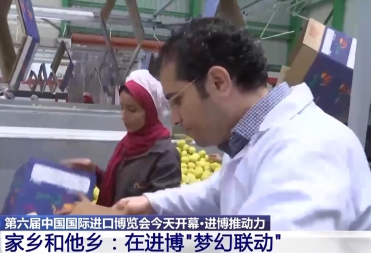 进博会助力各方融入全球贸易海洋 家乡和他乡在这里“梦幻联动”