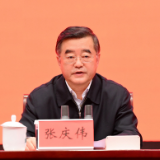 张庆伟：深入推进新时代党的建设新的伟大工程 着力推动基层党组织全面进步全面过硬