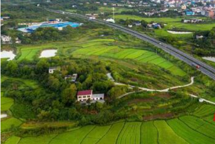 浏阳荷花街道：河道治理“三巡查”，乡村振兴“加速度”