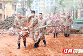 湖南省军区株洲干休所：种下敬老树 共建幸福家