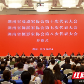 湖南省摄影家协会第八次代表大会召开 谢子龙当选新一届主席团主席