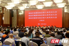 湖南省舞蹈家协会第七次代表大会召开 杨霞当选新一届主席团主席