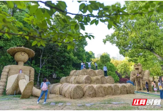 巨型稻草、萌宠乐园、帐篷露营 去长沙石燕湖过欢乐“五一”