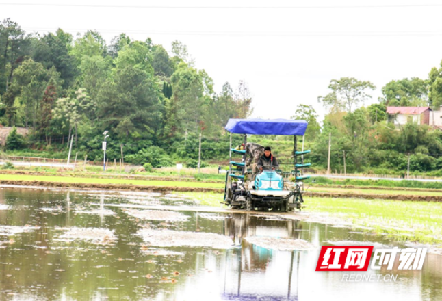 将丰收的希望播种在春天——湘乡市春耕春种一线见闻