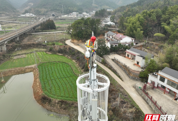 湖南：科技赋能，“铁塔哨兵”严密监测森林火情