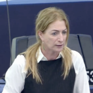 欧洲议会议员反问欧洲：我们想做美国附庸，还是对华保持独立关系？