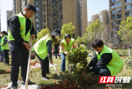 国企风采 | 省水电设计院公司志愿服务队再获殊荣