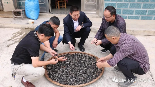 湖南省统计局：大兴调查研究 破难题促发展