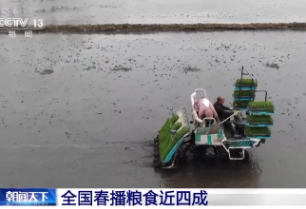 全国春播粮食近四成 进度快于去年