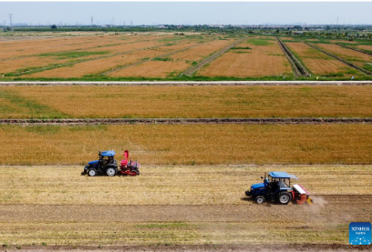 China Focus: China takes multi-pronged measures to ensure summer harvest