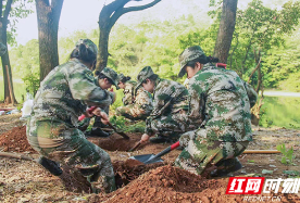 株洲石峰区：展示巾帼风采 秋瑾女子民兵排开展集训