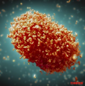 湖南疾控发布提醒：了解猴痘预防知识，做好个人防护