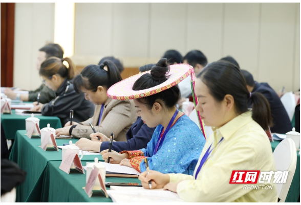 湖南：“大代表”格局激活一池春水