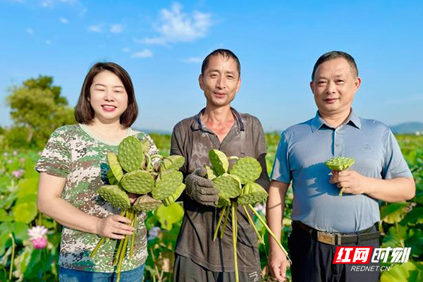 人民的代表丨沈容：一名“湖南省十佳农民”的代表之路