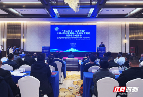 乌兹别克斯坦布哈拉州政企代表团一行与湖南40余家企业深入交流