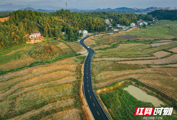 观察丨走近乡村振兴的“湖南设计”样本