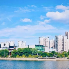 凝聚多方合力 浏阳集里交出治河护河新答卷