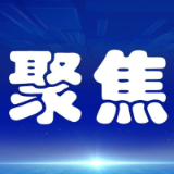 洞庭湖区重点垸提防加固二期工程可行性研究报告通过水利部水规总院审查