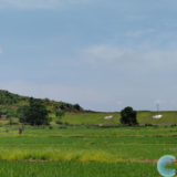 株洲市:小水票解决农田“喝水难”