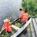 娄底涟源市:打造“碧水党支部”强化基层河湖管护