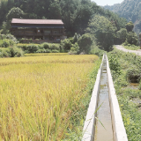 通道侗族自治县精建细管“小农水”，提升蓄水能力19万立方米