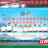 2023第十五届湖南茶业博览会在长沙开幕