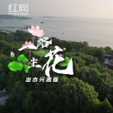 特别策划丨“一路生花 ”治水兴湘版