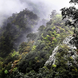 守护好三湘四水的生灵草木——湖南野生动植物高水平保护纪实