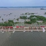 水旱灾害防御进行时丨水利“智囊团”显担当