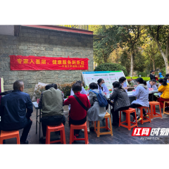 湘雅三医院专家团队在麓谷开展学雷锋月义诊活动