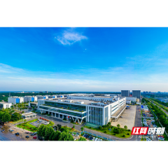 劳动美 | 长沙比亚迪电子有限公司SMT荣耀手机生产班组：擦亮智能化生产班组品牌