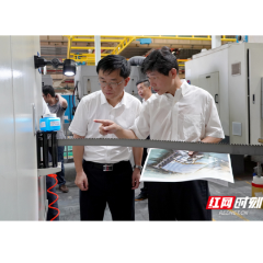 望城经开区党工委书记周剀带队深入园区重点项目调研：力促及时开工、高效建设