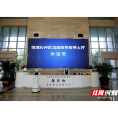 望城经开区：三大服务平台正式进驻“湘易办”