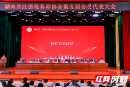 湖南省注册税务师协会：党建引领攀高峰 换届选举启新程