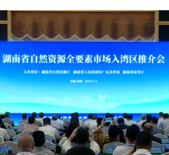 2025湖南—粤港澳大湾区经贸合作交流会：广会高朋 收获满满
