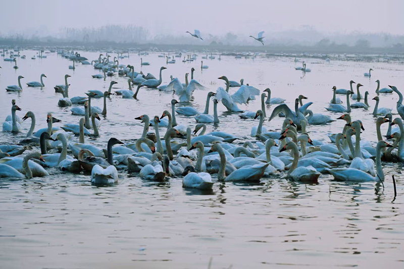 aab71f18c4479f65ffba715511804efd.png aab71f18c4479f65ffba715511804efd.png