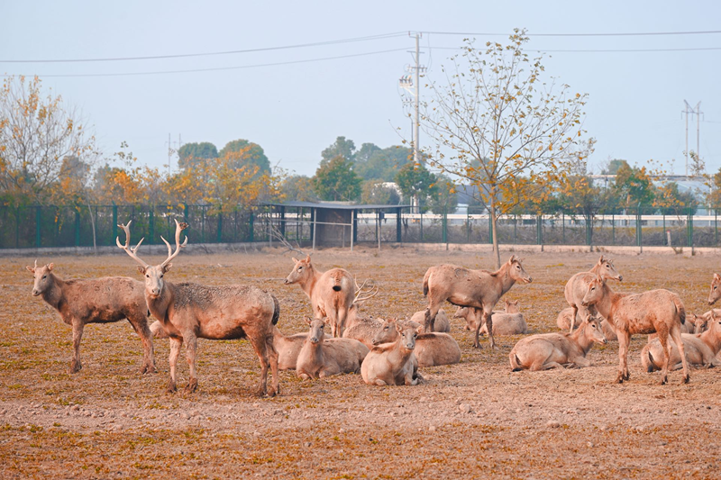 be3154ccf90ad19fa210e20774876d71.png be3154ccf90ad19fa210e20774876d71.png